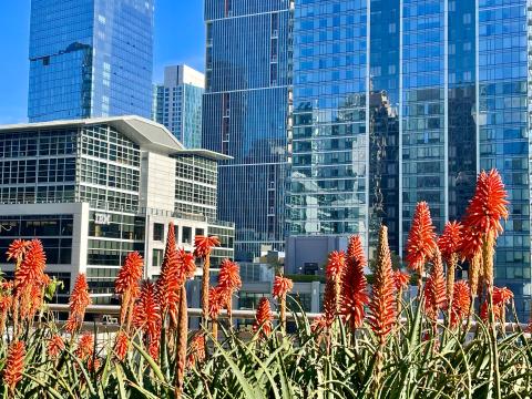Jardin et immeubles de verre à San Francisco