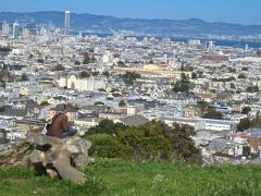 Sitting on a rock of a hill in San Francisco