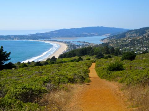[Photo : chemin de randonnée avec vue sur l'Ocean Pacifique]