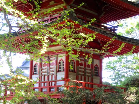 [Photo : Pagode au printemps dans le Japanese Tea Garden]