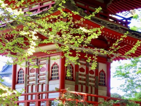 [Photo : Pagode au printemps Japanese Tea Garden]