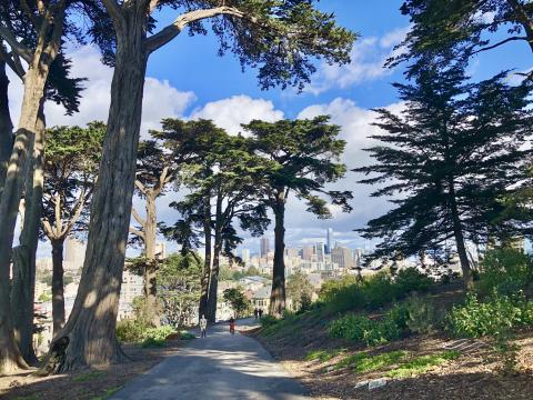[Photo : Alamo Square San Francisco]